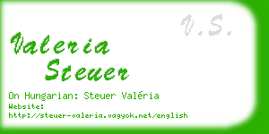 valeria steuer business card